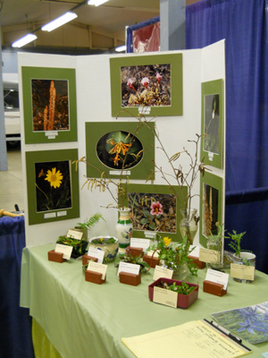 Quite a number of plants on display